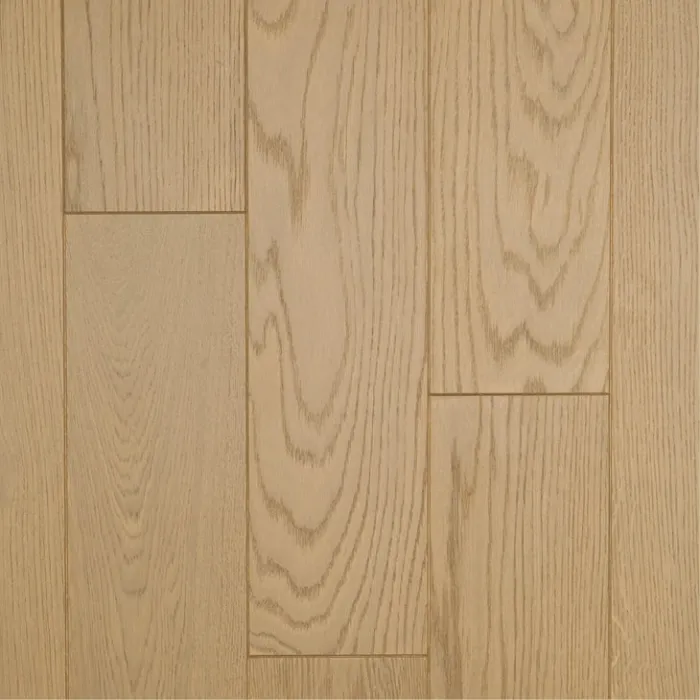 Gray World - Zanzibar