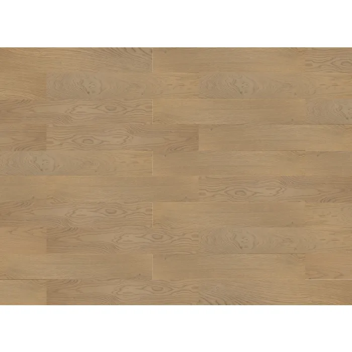 Finishparkiet Parkiet Dąb Borneo